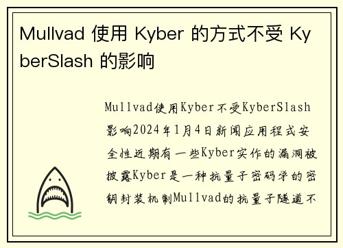 Mullvad 使用 Kyber 的方式不受 KyberSlash 的影响 