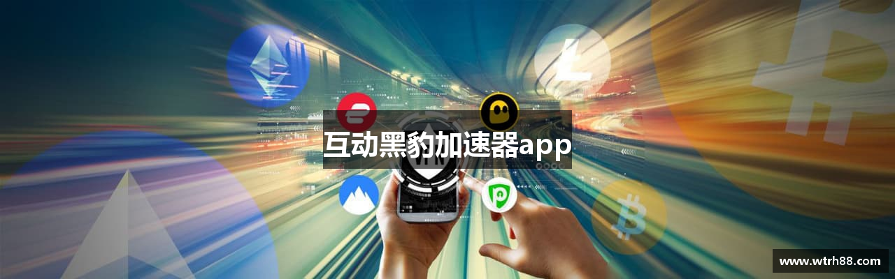 互动黑豹加速器app